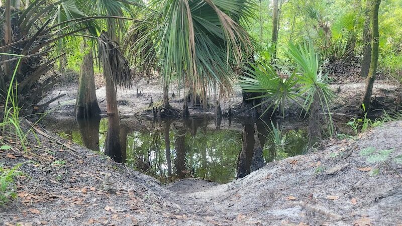 Lithia Springs Park - Lithia, FL