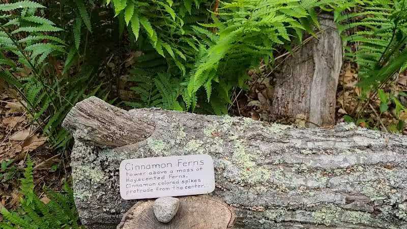 Simmons Pond - Little Compton, RI