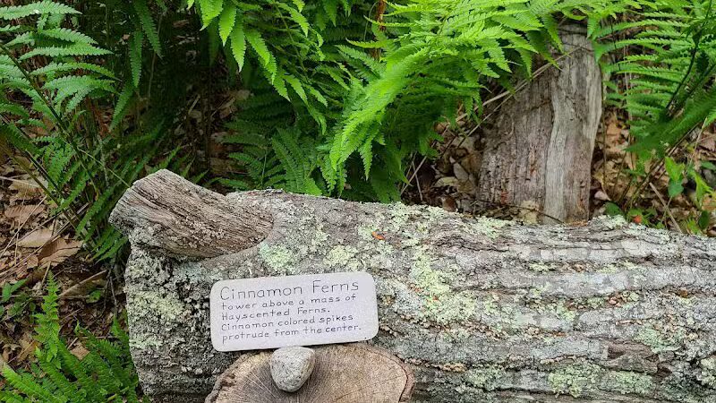 Simmons Pond - Little Compton, RI