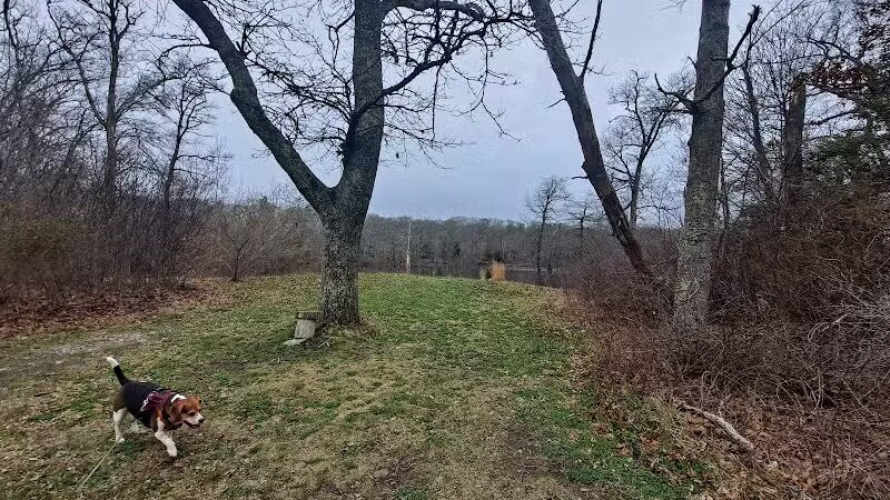 Simmons Pond - Little Compton, RI