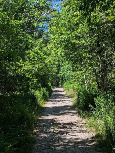 Simmons Pond - Little Compton, RI