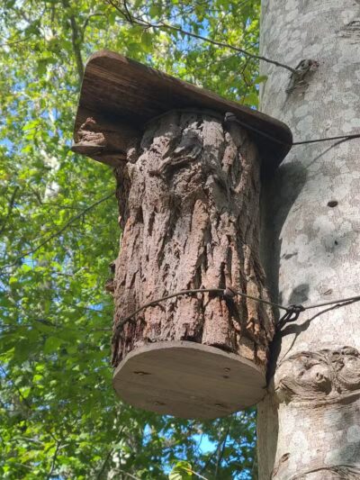 Simmons Pond - Little Compton, RI