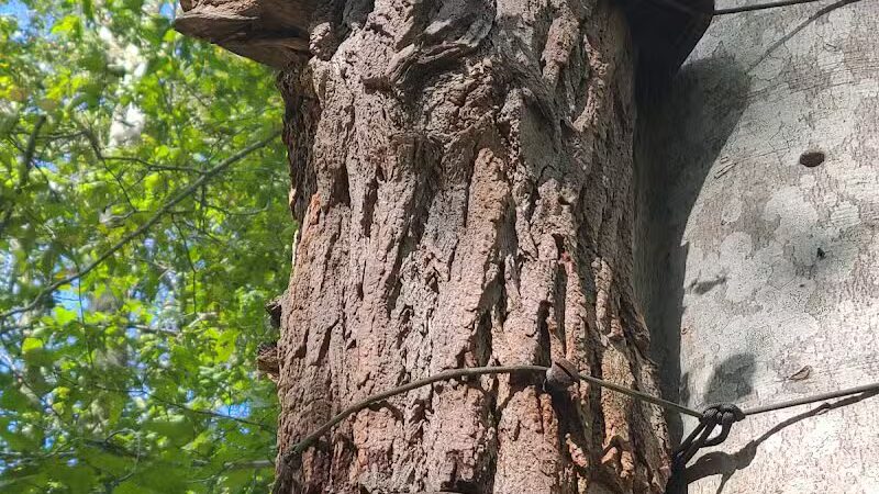 Simmons Pond - Little Compton, RI
