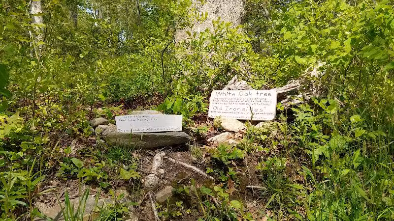 Simmons Pond - Little Compton, RI