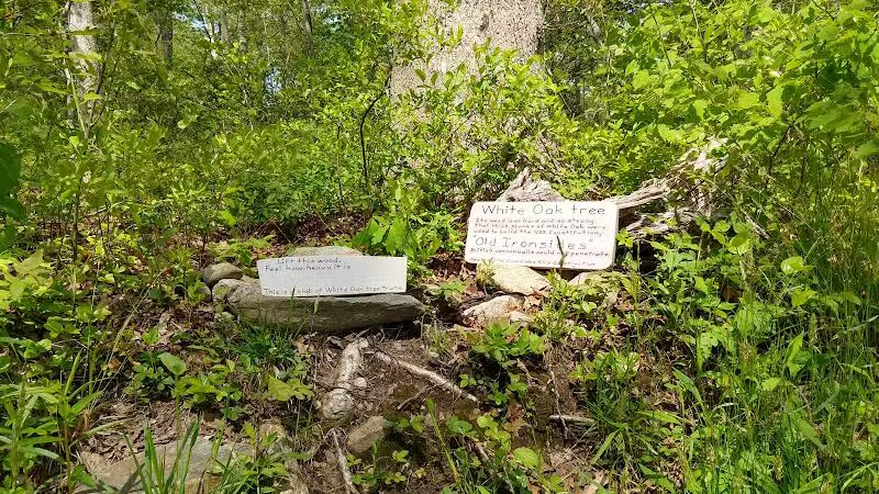 Simmons Pond - Little Compton, RI
