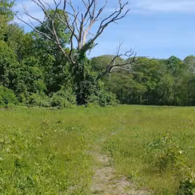 Simmons Pond - Little Compton, RI