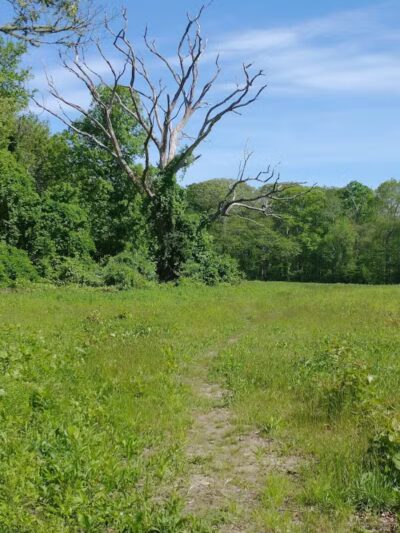 Simmons Pond - Little Compton, RI