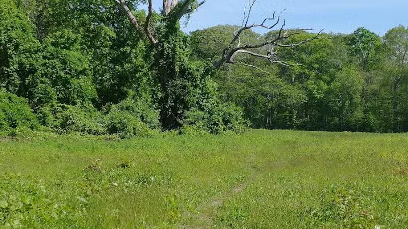 Simmons Pond - Little Compton, RI