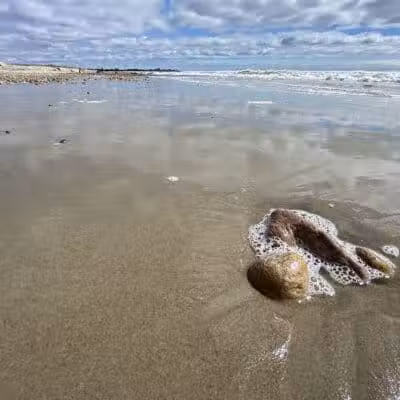 Town of Little Compton Beach - Little Compton, RI