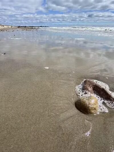 Town of Little Compton Beach - Little Compton, RI