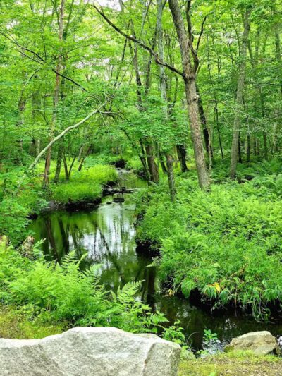 Wilbour Woods - Little Compton, RI