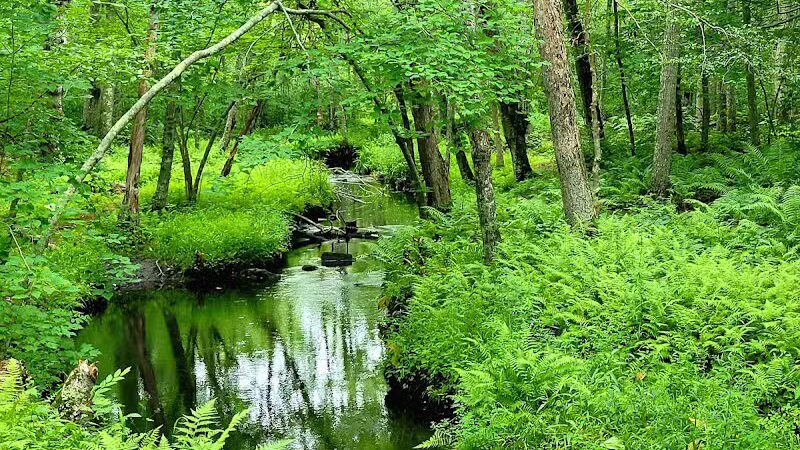 Wilbour Woods - Little Compton, RI