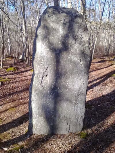 Wilbour Woods - Little Compton, RI