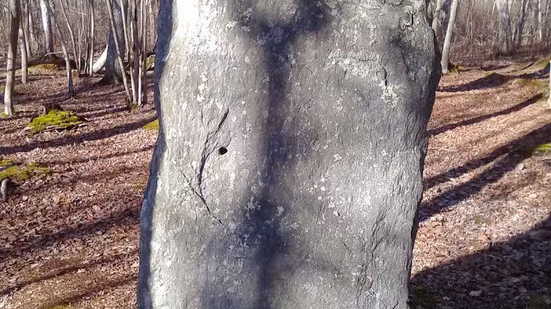 Wilbour Woods - Little Compton, RI