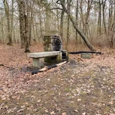 Wilbour Woods - Little Compton, RI