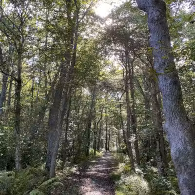 Wilbour Woods - Little Compton, RI