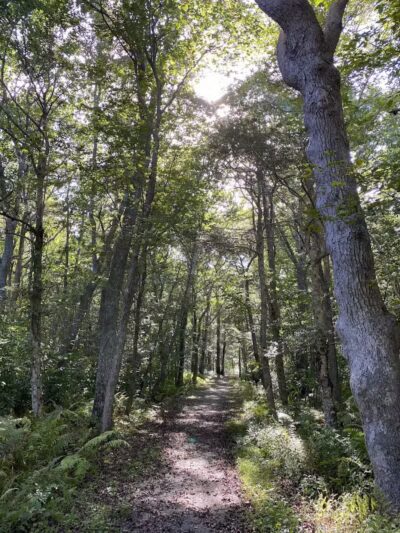 Wilbour Woods - Little Compton, RI