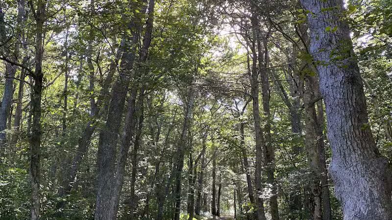 Wilbour Woods - Little Compton, RI