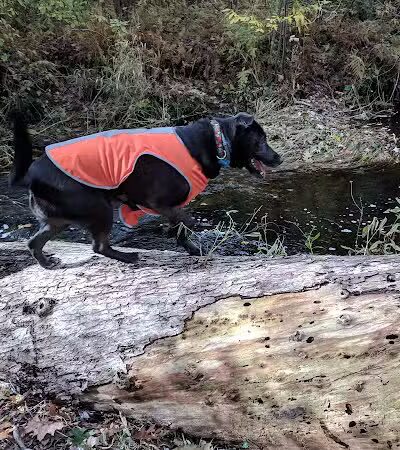 Wilbour Woods - Little Compton, RI