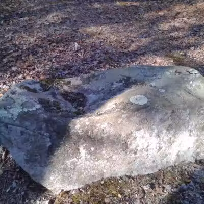 Wilbour Woods - Little Compton, RI