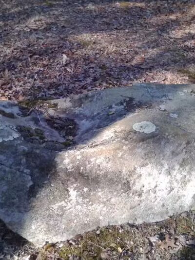 Wilbour Woods - Little Compton, RI