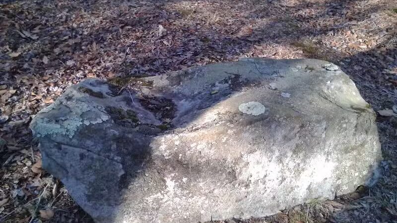 Wilbour Woods - Little Compton, RI