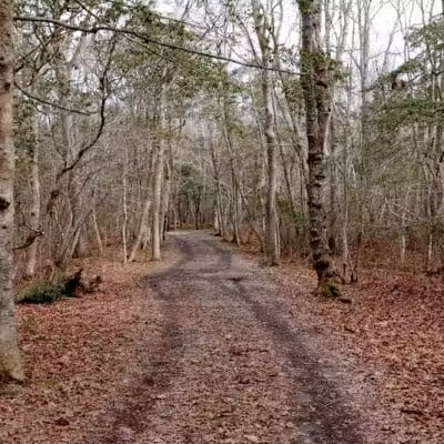 Wilbour Woods - Little Compton, RI