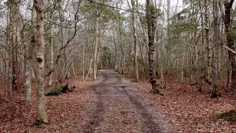 Wilbour Woods - Little Compton, RI