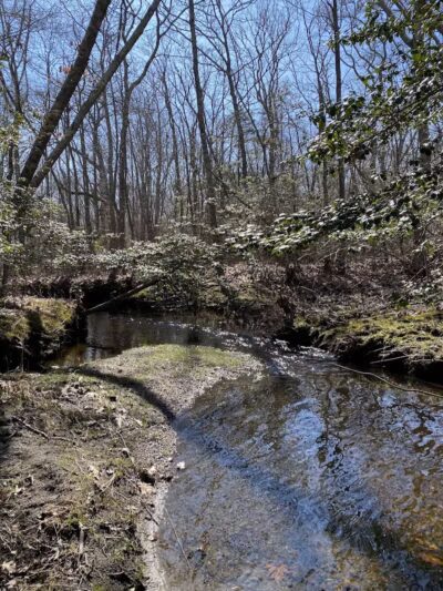 Wilbour Woods - Little Compton, RI