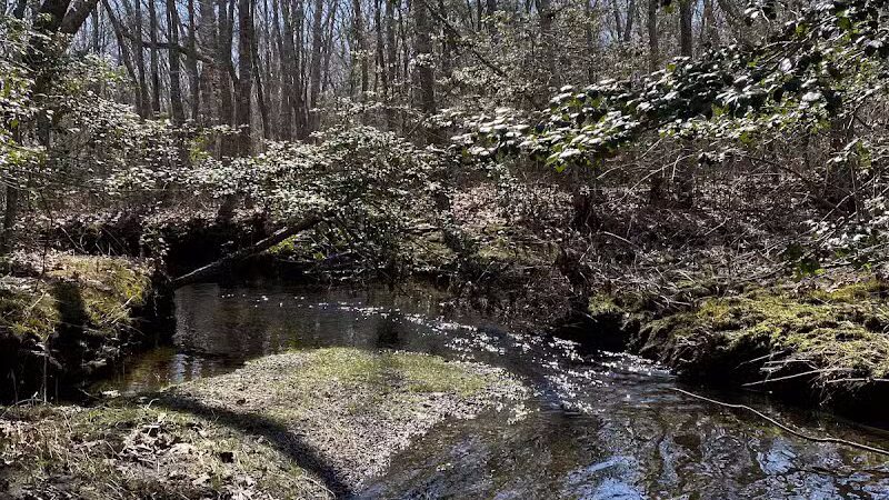 Wilbour Woods - Little Compton, RI