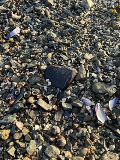 Bridge End Park - Little Deer Isle, ME