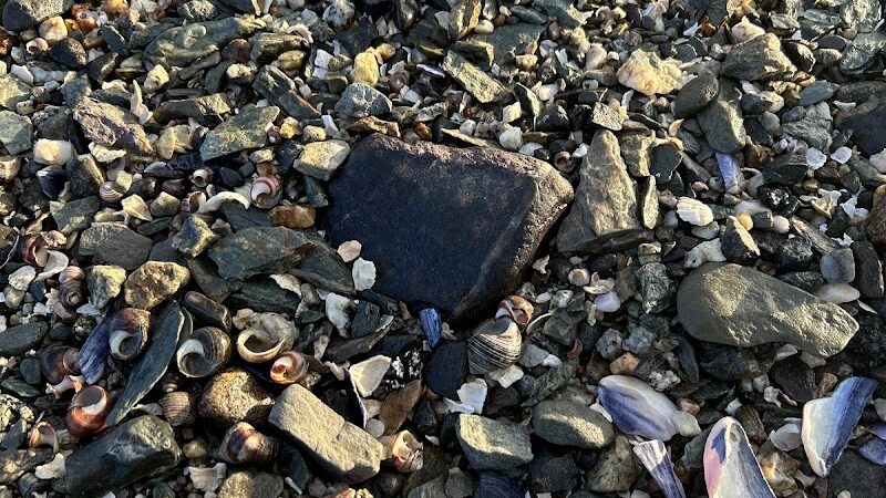 Bridge End Park - Little Deer Isle, ME