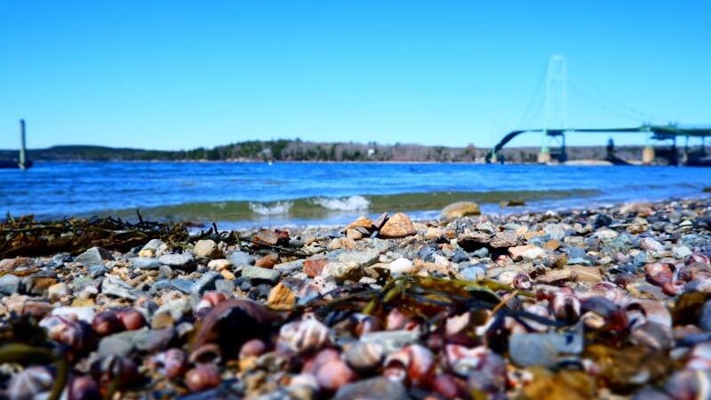 Bridge End Park - Little Deer Isle, ME