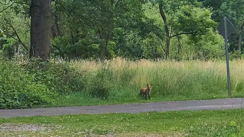 Peckman Preserve - Little Falls Township, NJ