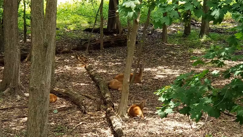 Peckman Preserve - Little Falls Township, NJ