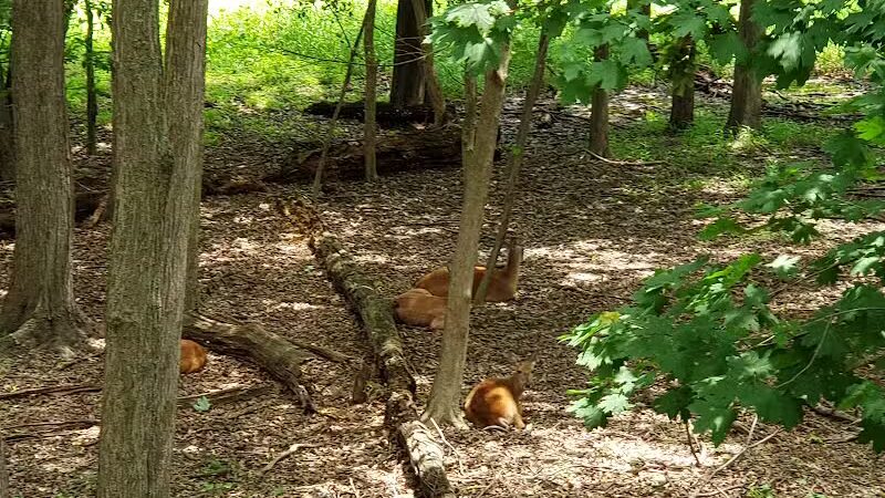 Peckman Preserve - Little Falls Township, NJ