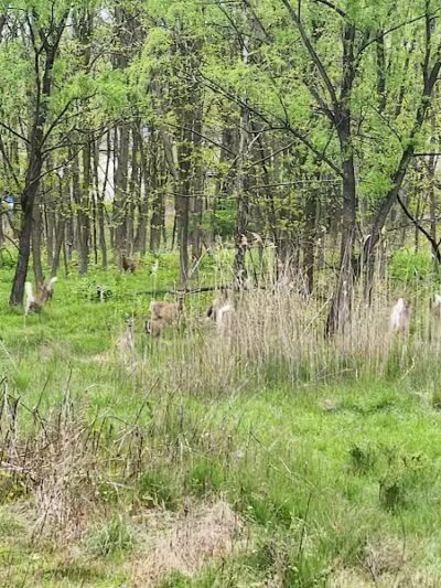 Peckman Preserve - Little Falls Township, NJ