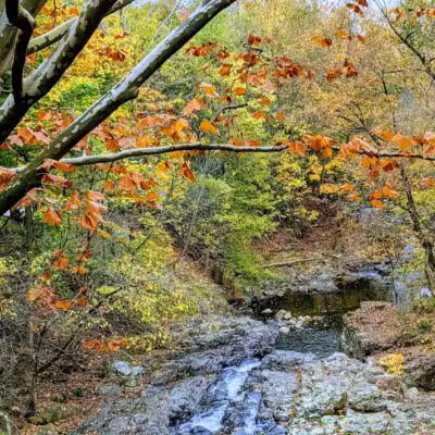 Peckman Preserve - Little Falls Township, NJ