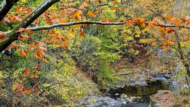 Peckman Preserve - Little Falls Township, NJ