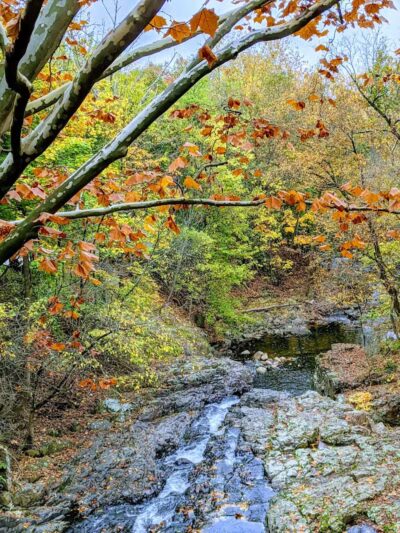 Peckman Preserve - Little Falls Township, NJ