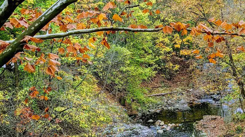 Peckman Preserve - Little Falls Township, NJ