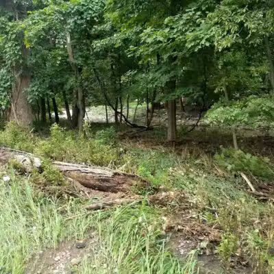 Peckman Preserve - Little Falls Township, NJ