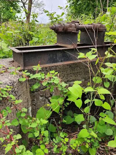 Peckman Preserve - Little Falls Township, NJ