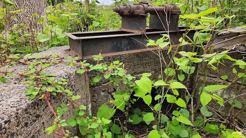 Peckman Preserve - Little Falls Township, NJ