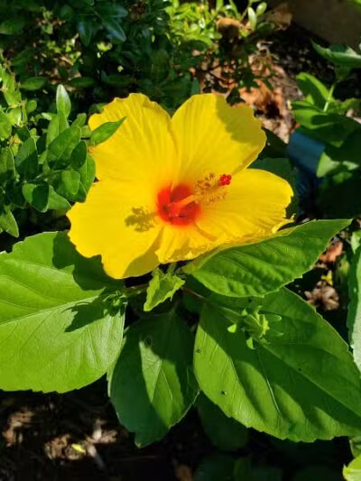 Wilmore Park - Little Falls Township, NJ