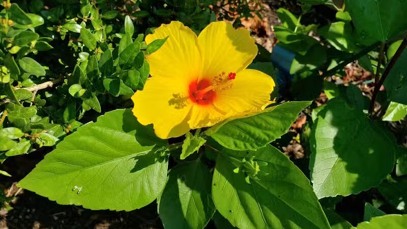 Wilmore Park - Little Falls Township, NJ