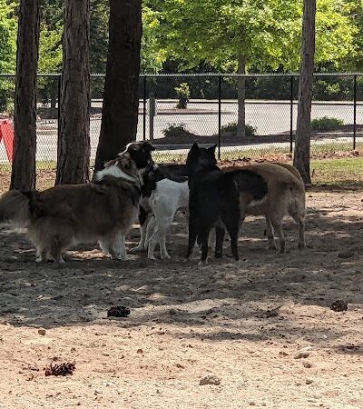 North Myrtle Beach Park and Sports Complex - Little River, SC