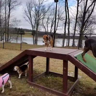 Morningside Dog park - Loch Sheldrake, NY