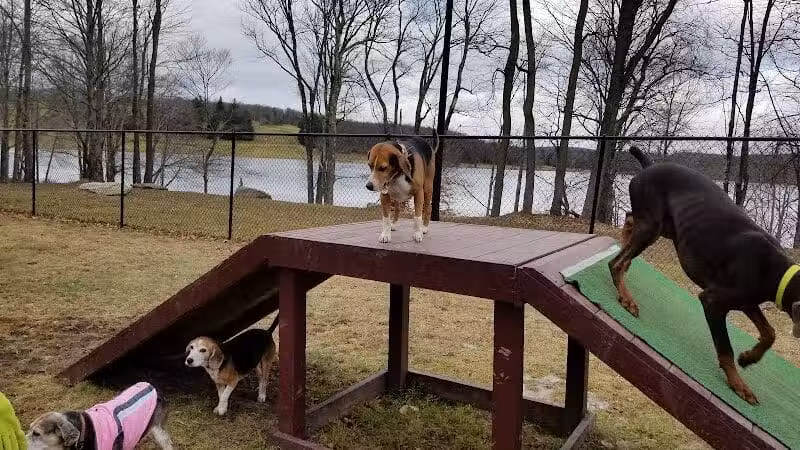 Morningside Dog park - Loch Sheldrake, NY