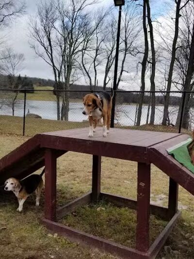 Morningside Dog park - Loch Sheldrake, NY
